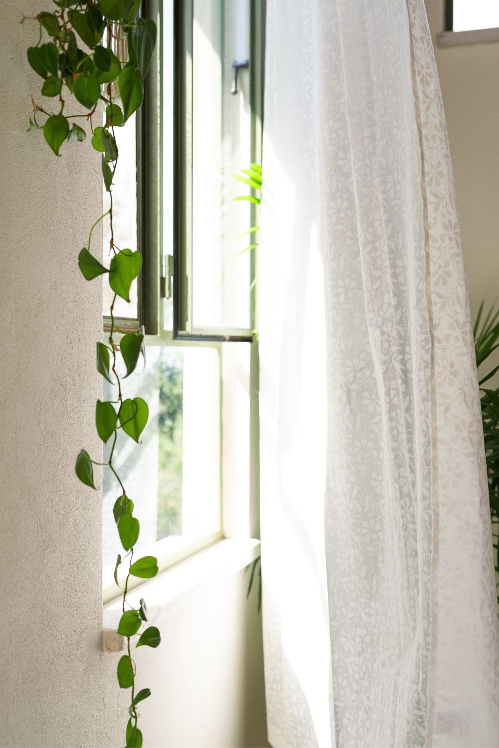 וילון מודפס "מהראג'ה"