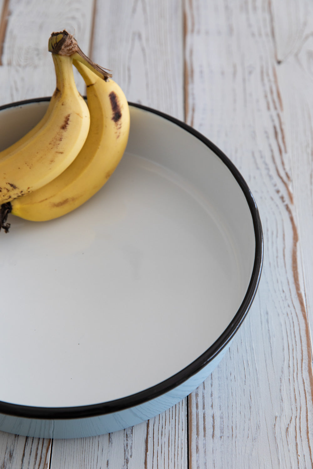 תבנית אמייל תכלת