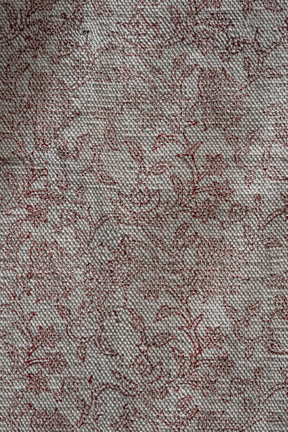 Bougainvillea carpet