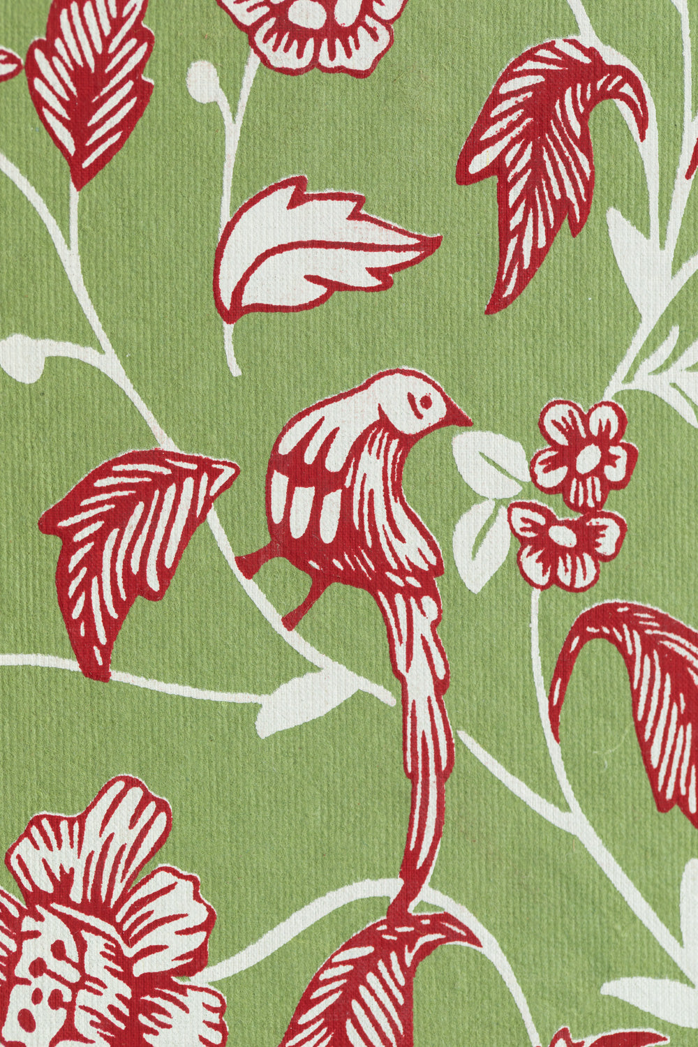Bird illustrated notebook