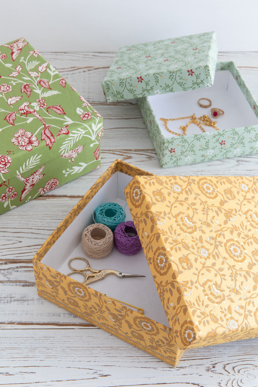 Bird storage box case