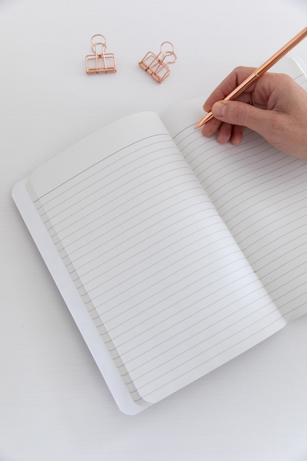 מחברת רקומה ניצנית