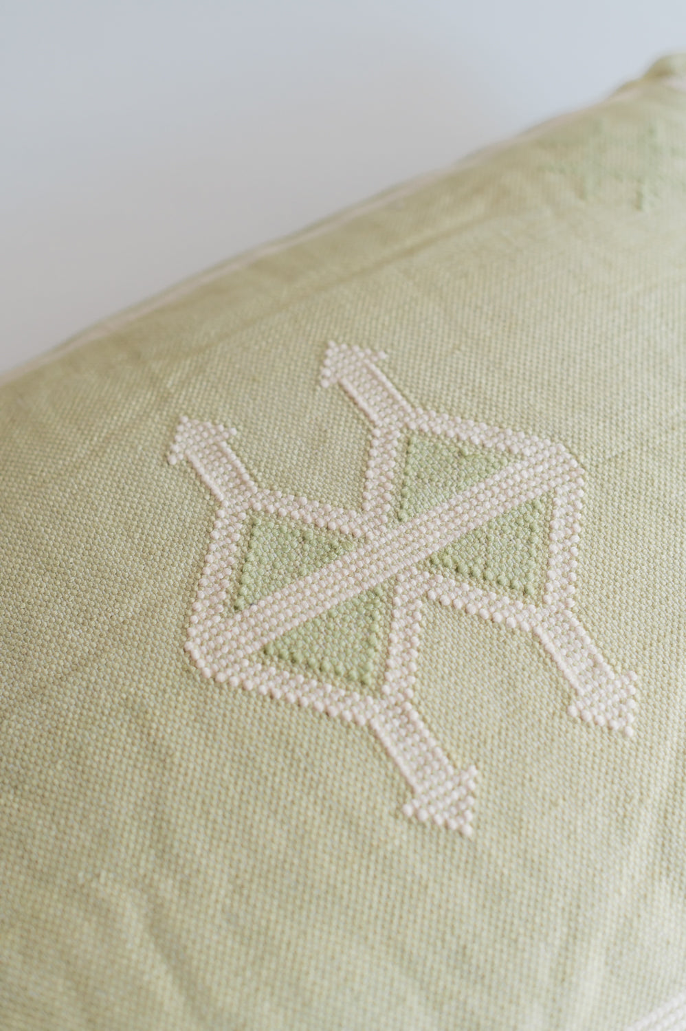Pistachio Embroidered Pillow 50X50