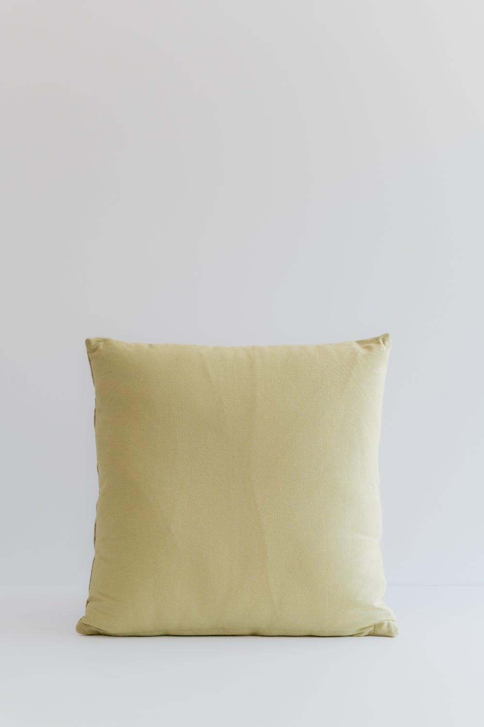 Pistachio Embroidered Pillow 50X50